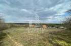 Teren intravilan pentru investitie, 2896 mp, Herneacova Timis - 1