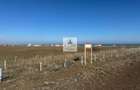 Teren intravilan 47.400 mp, Vama Veche, 200 m de Marea Neagra - 13