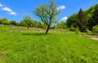 Teren intravilan de vanzare, 3900 mp , front 36 ml,  Faget - 4