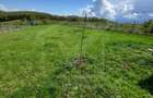Teren extravilan 2000 mp, împrejmuit, panoramă superbă – Sălicea (Cluj) - 5