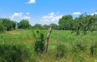 Teren intravilan de vânzare – 1.800 mp – Fântâna Doamnei, județul Călărași  - 5