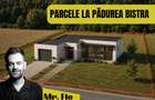 Terenuri Premium lângă Pădurea Bistra – Oportunitate Limitată - 3