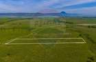 Teren 1ha, extravilan Rasnov / Agricultură sau fermă/ COMISION 0% - 4