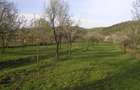 (307) Teren intravilan Calinesti – sat Carstieni, jud. Arges / Direct proprietar - 1