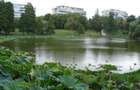 AP. 3 CAMERE- PARCUL CIRCULUI, PET-FRIENDLY,  BLOC REABILITAT, MODERN - 7