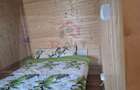 Casa Vacanta Rucar Saticu de Jos Arges - 23