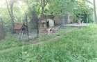 Vanzare casa conslidata Silistea Snagovului Com. Gruiu, Ilfov Snagov - 17