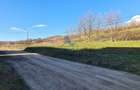Teren intravilan 2500 mp \Sibiu \Sura Mare - 7