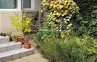 Exclusivitate - Coiciu,casa 3 camere,61mp utili,teren 187mp,front stradal 10,55m - 1