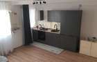 Apartament 2 camere pe 2 nivele FAGET - 6