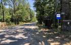 Moara Vlasiei - langa Padurea Biglaru, 11.884 mp, deschidere 40 ml! - 7
