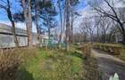APARTAMENT 2 CAMERE OLIMP - 10