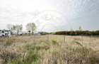 Teren Intravilan 1300 mp / Extravilan 3.700 mp/ DJ 196B Carei (DN 1F) – Foieni - 6