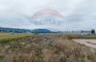 Teren 440mp Sacele - Strada Gospodarilor - 3