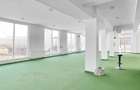 Spatiu Comercial cu Multiple Posibilitati de Exploatare - 4
