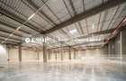 Eli Park Iasi,  spatii pentru diverse activitati, 2.500 - 63.000 mp - 2