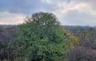 HERASTRAU SOSEAUA NORDULUI APARTAMENT 5 CAMERE  VEDERE PANORAMICA PARC - 2