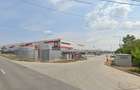 De vanzare teren industrial – Ideal pentru dezvoltare hale Chitila - 2