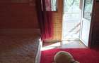 Vând cabana in valea ierii  preț negociabil  - 2