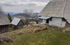 Vind casă și teren în satul Costești, comuna Albac județul Alba   - 4