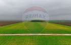 Ferma agro-industrială – 43 ha Adunații Copaceni - 7