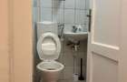 Floreasca Inchiriez ap 2 cam  nemobila parter vila  gradina proprie boxa parcare - 5