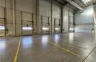 Spatiu Industrial - 5300 mp - Logistica - Productie - Depozitare - Distributie - 13