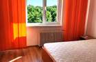 Vanzare Apartament 3 Camere Dristor- Vitan - 1