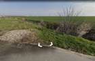 Vand teren agricol intravilan Buftea - 7175 m2 - 2