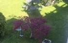 3 camere | Terasa vedere la piscina | Pipera | Școala Americanǎ - 17