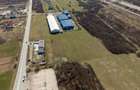 Teren extravilan de 7.000 mp lângă Păltiniș - 5