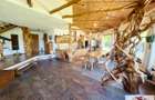 Casa exclusivista de vanzare in Aiud - 10