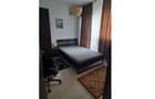 3 Camere | Ultracentral | Student Friendly | 3x AC | Etaj 1 | - 1