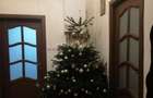 Casa/Vila de inchiriat TINERETULUI, P+ E, 2 CAMERE, Centrala prorpie - 8