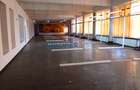 Comision 0! Spatii birouri/call center/ IT in zona Domenii - 217mp - 4