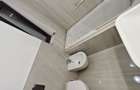 Apartament “de revista”, la casa in Elisabetin- zona consulatelor. - 32