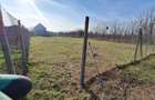 Vand teren intravilan in Branesti Ilfov - 3