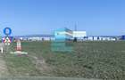 Teren 50.000 Mp, Brasov-Halciu - 2