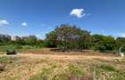 Teren 596 mp | Zona Calea Văcărești – Delta Văcărești - 1