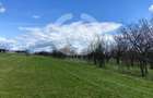 Teren Extravilan Rasinari 1500 mp | Zona deosebita - 1