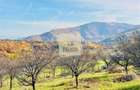 Teren intravilan 1000mp | Sibiel | Panorama superba | Ideal casa | pensiune - 2