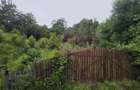 Teren intravilan 4000 mp in Breaza, Nistoresti - 2