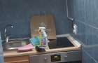 Apartament cu 1 cameră, etajul 3/9, zona Podu Ros - 4