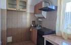 Apartament 2 camere, mobilat, utilat, Campia Libertatii, pet friendly - 11