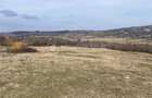 Teren intravilan 11.300mp, Barnova, cu acces auto si front stradal - 1