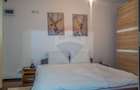 Apartament cu 2 camere de inchiriat în Sinaia - 3