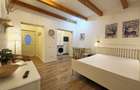 0% Comision Casa cu 2 apartamente,mobilate la cheie, Horea zona Urania - 12