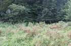     Teren intravilan într-una dintre cele mai frumoase zone montane din România - 5
