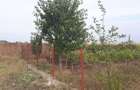 Teren intravilan zona de case - 1
