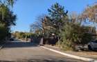 Teren 19.470 mp, investitie ideala, Green City -1 Decembrie, Ilfov - 14